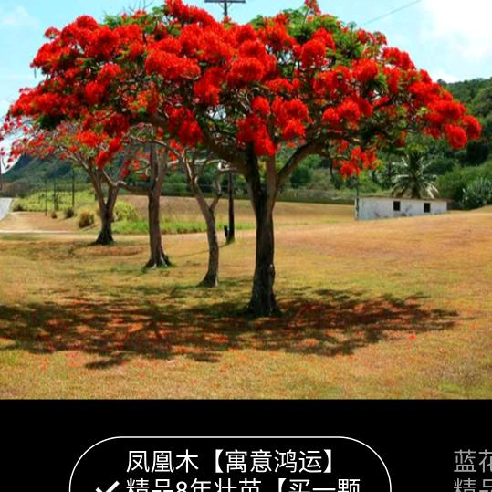 缘爱