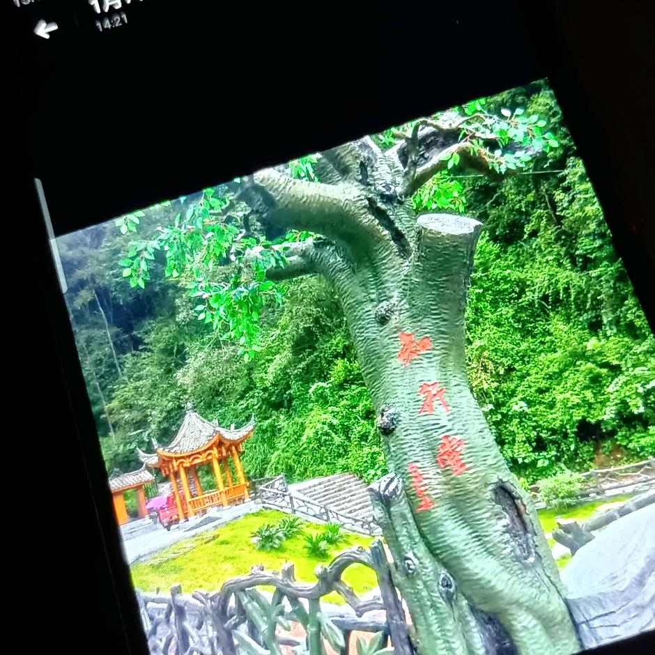 dy19tmcdh920o