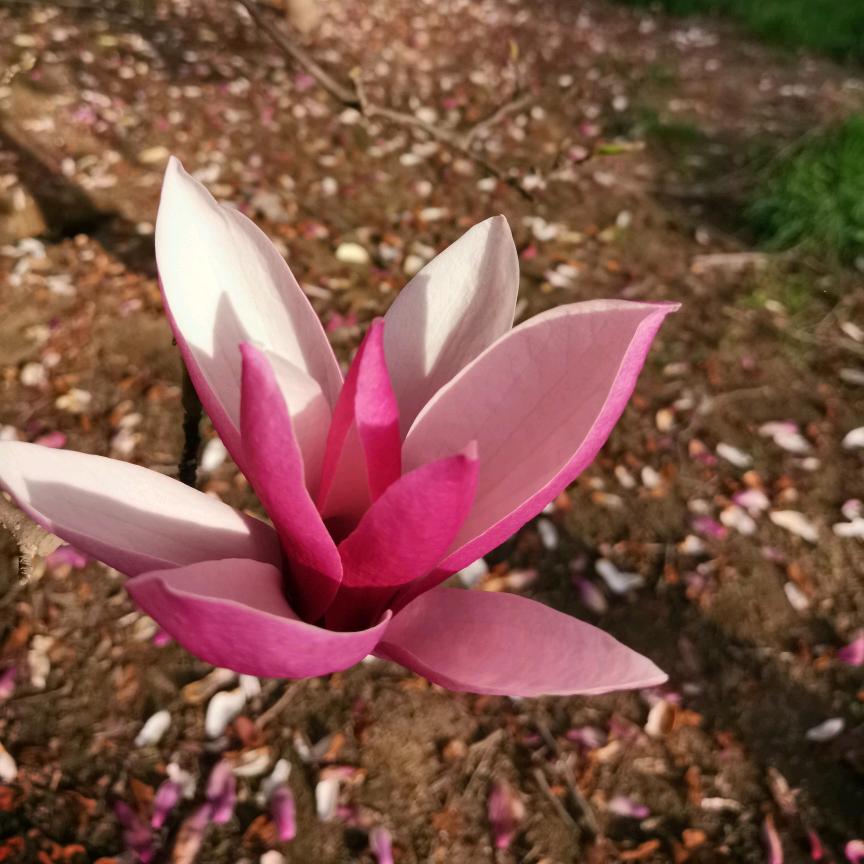 @一切随缘@
