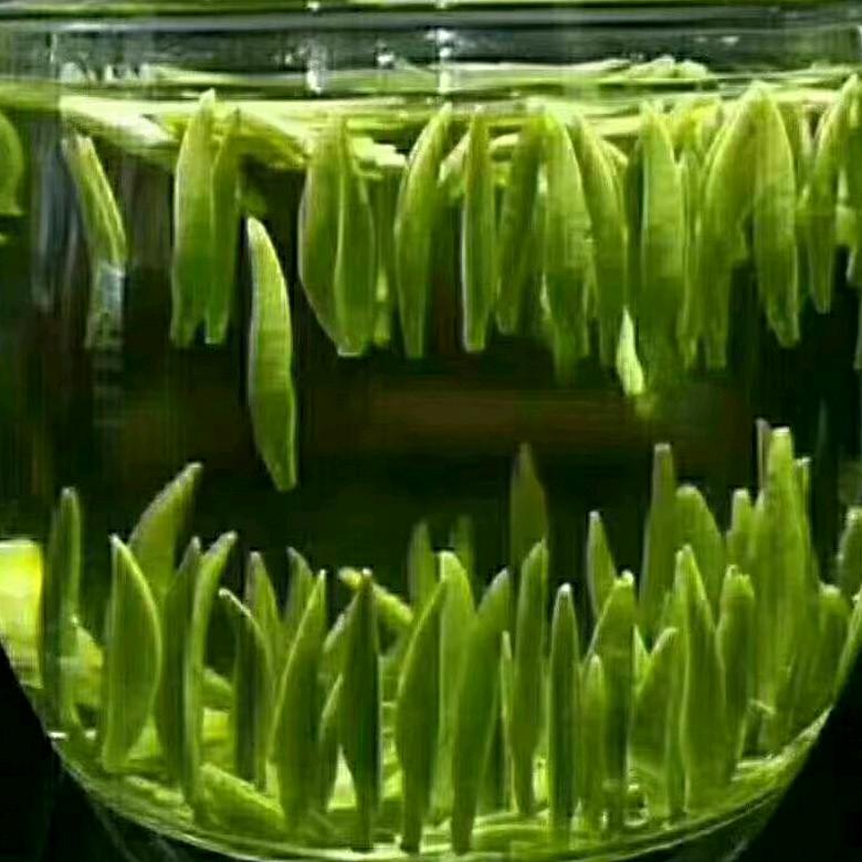 润雨茗茶