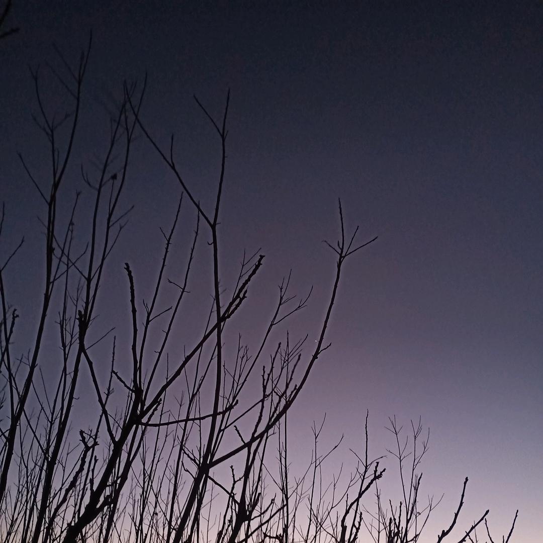 心碎满地