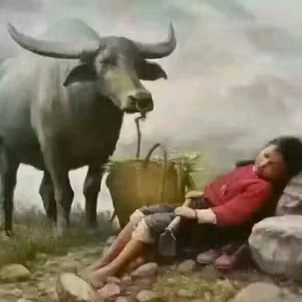 为你等待