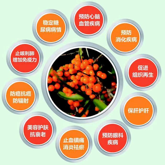 新疆甄选小月沙棘