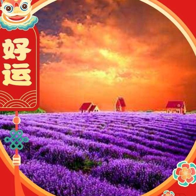 小娜