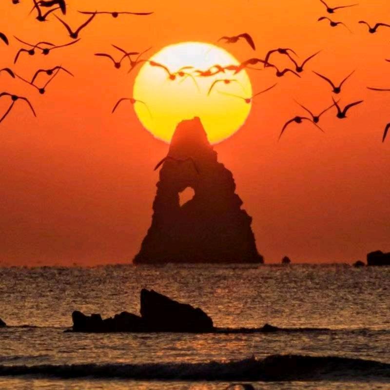 邢长松（君安生物）