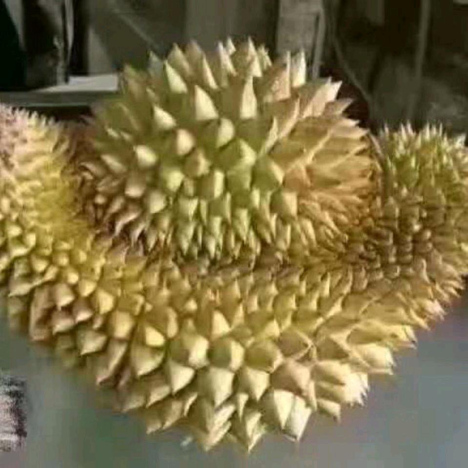 开门红果业官方号