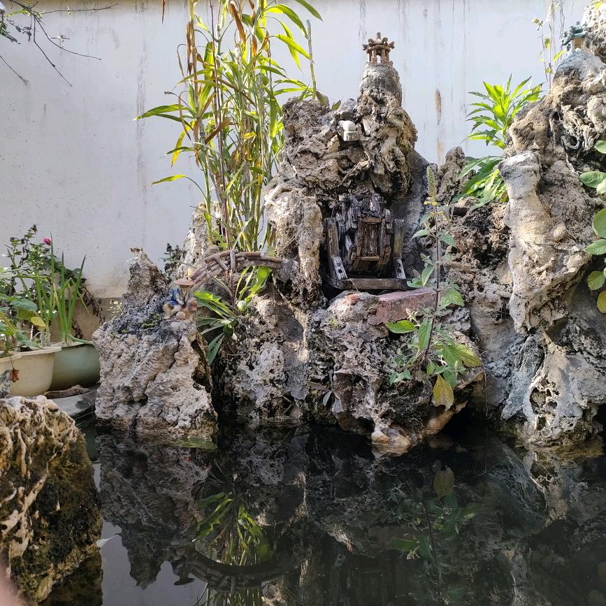梧桐叶