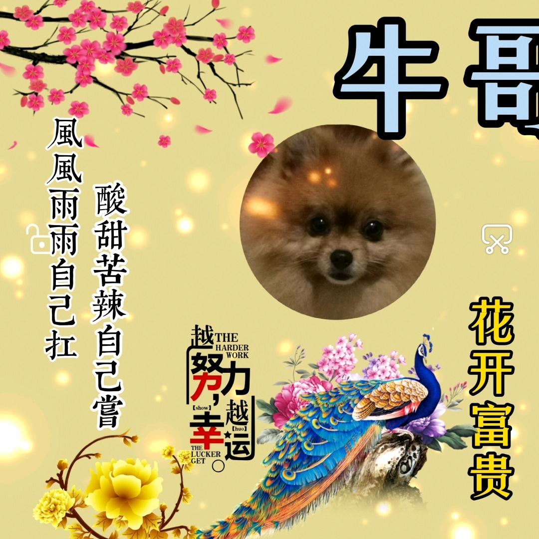四川🌙&$*%～牛哥