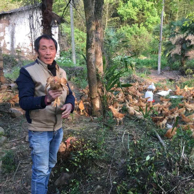 刘金荣AACC-120586-BCECB