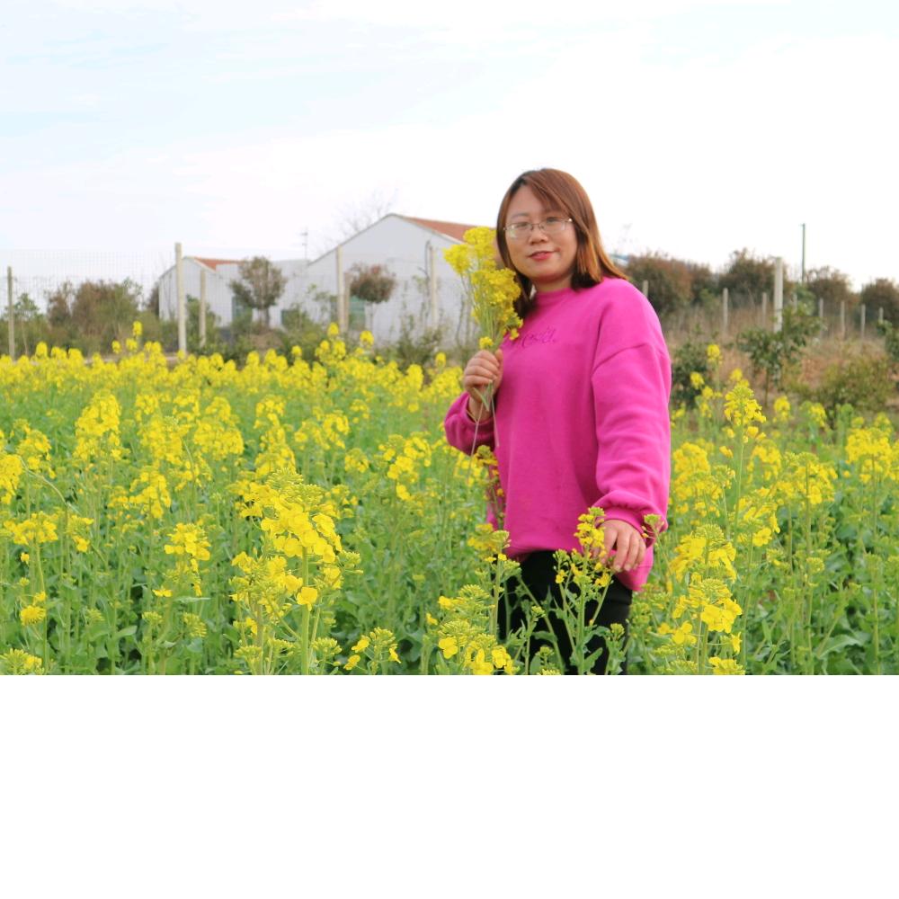 简丹的幸福（程记土菜馆）