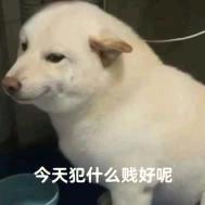 我就叫秋原__