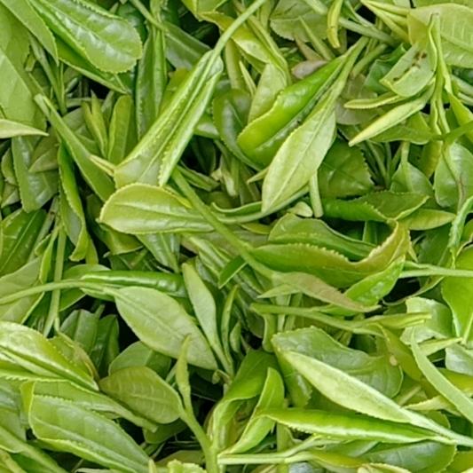 制茶人