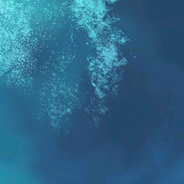 平安“使”者～蒋律