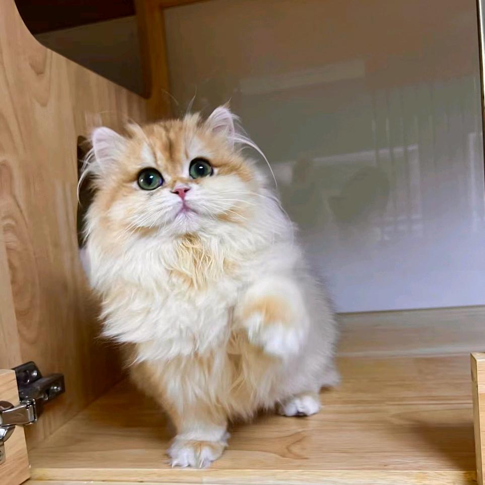 mhg ᗢᘏ೨