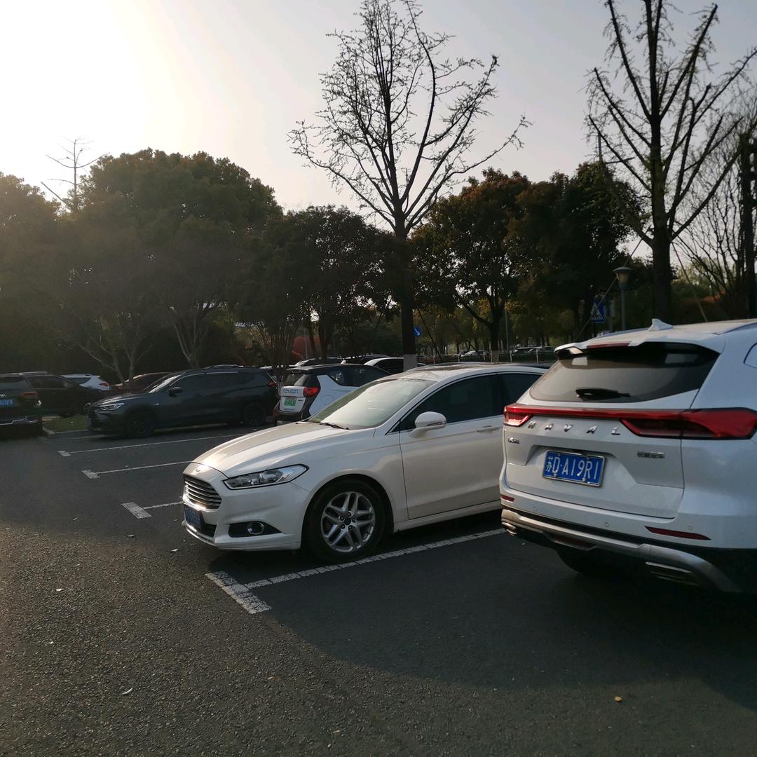 老张