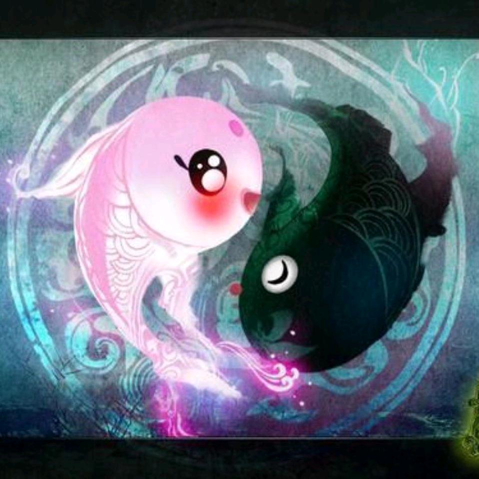 小白   资深金融顾问