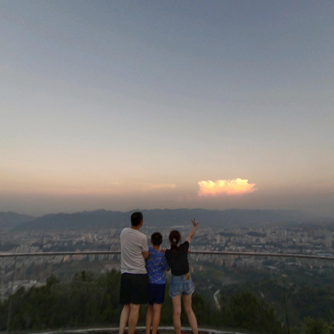 随心羽