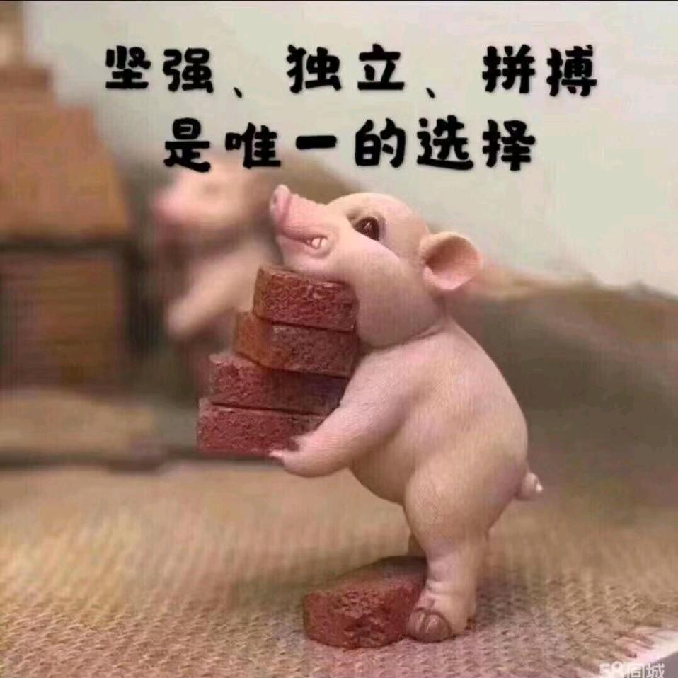 洋洋