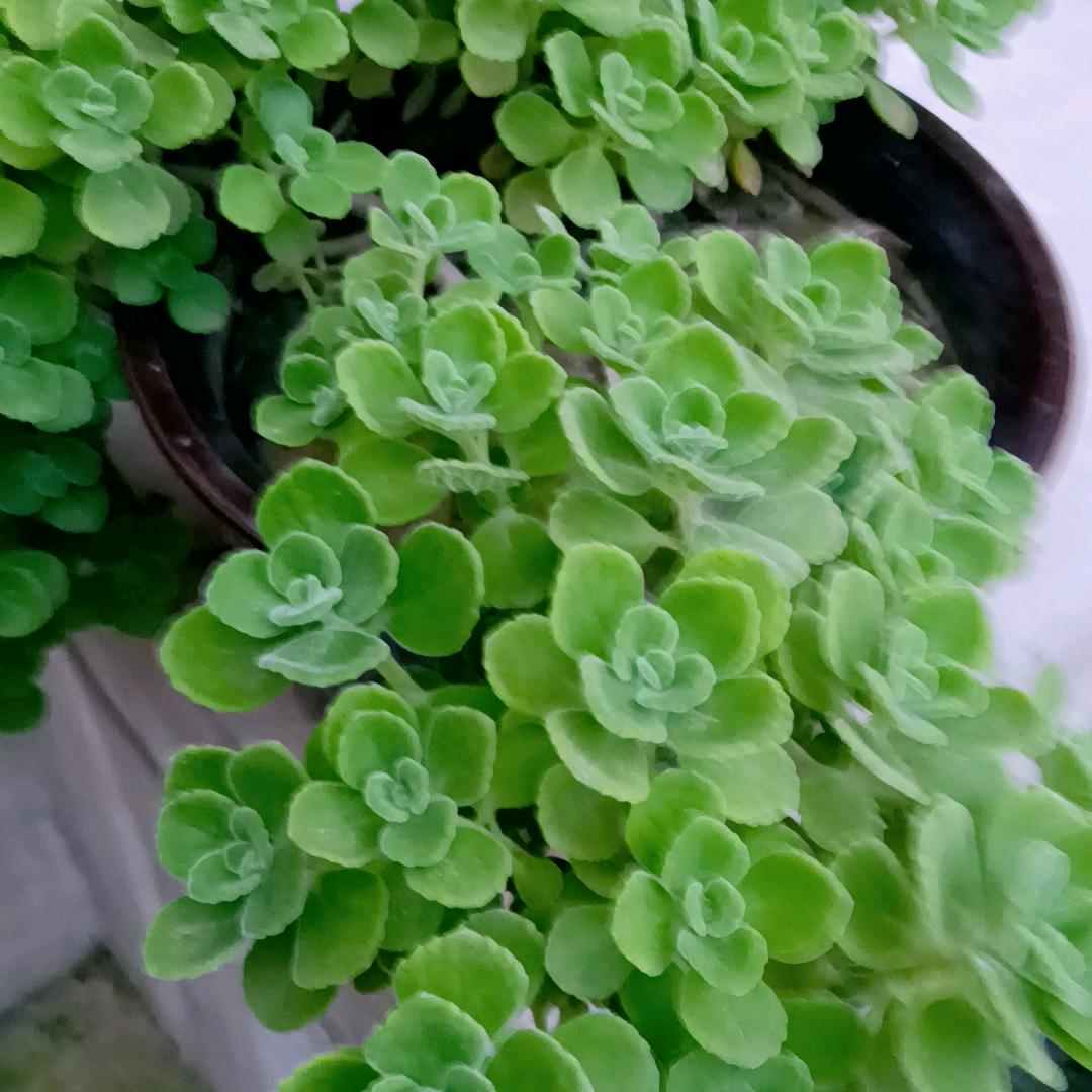 人生百味，自己体会