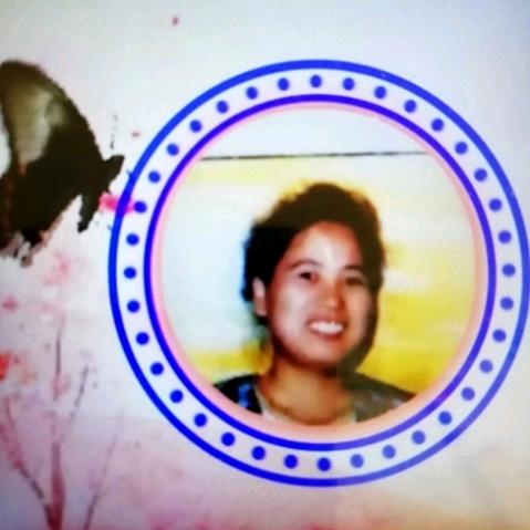 立竿见影明达猫舍