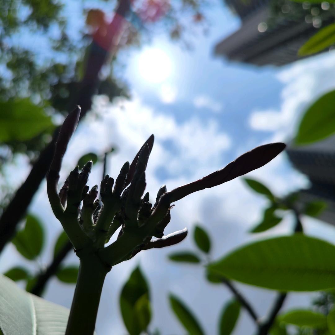 嘉和大理石打磨护理骆工