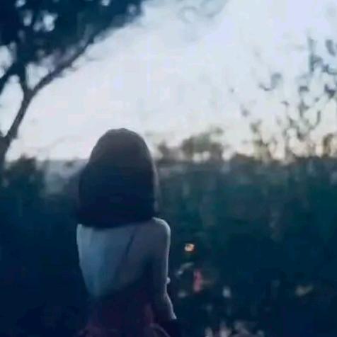 风雨彩虹
