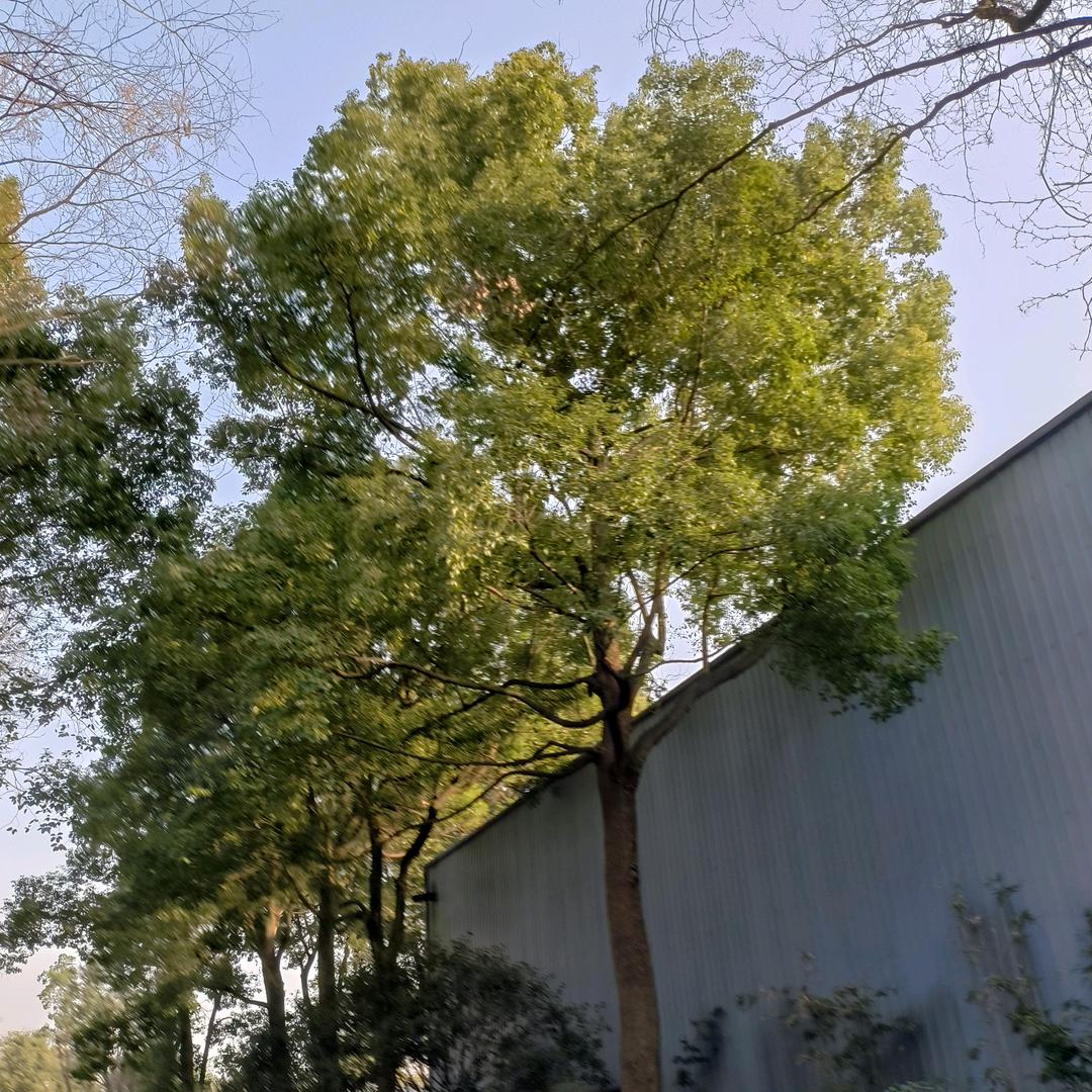 看抖音五花八门