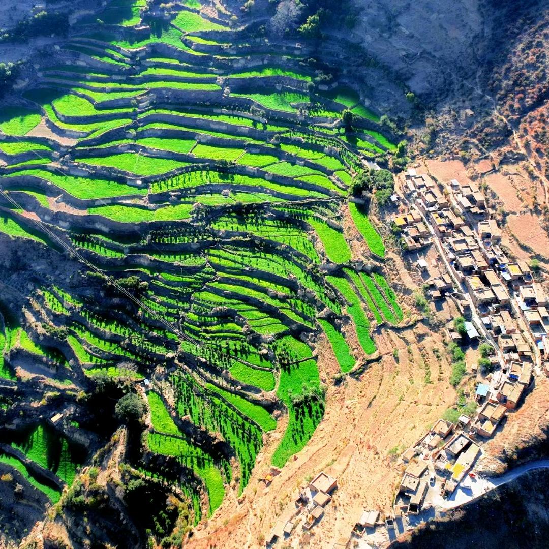 大山孩子一朗江