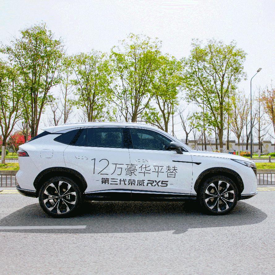 上汽荣威西部大区新能源