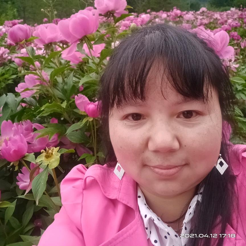 忘忧草🍀