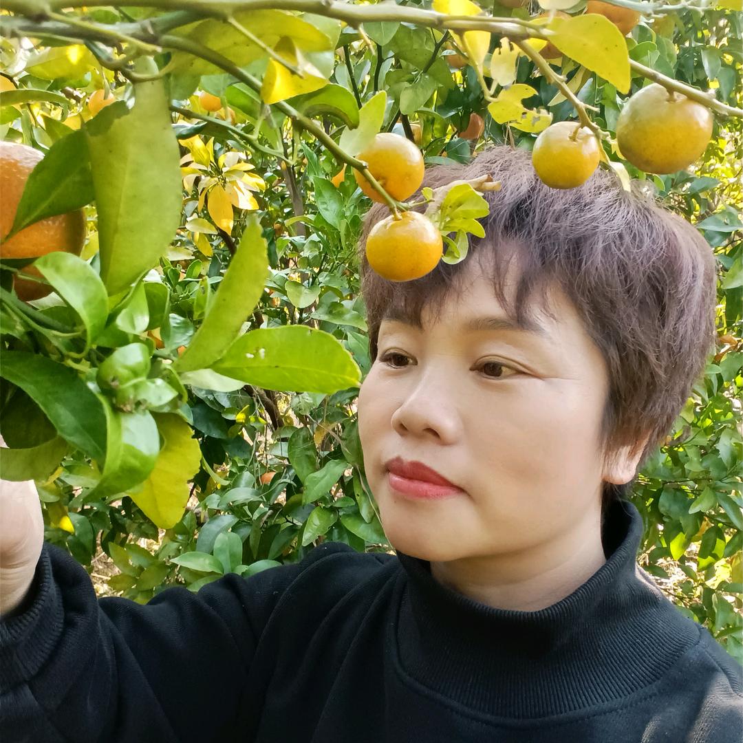 阳光会在风雨后