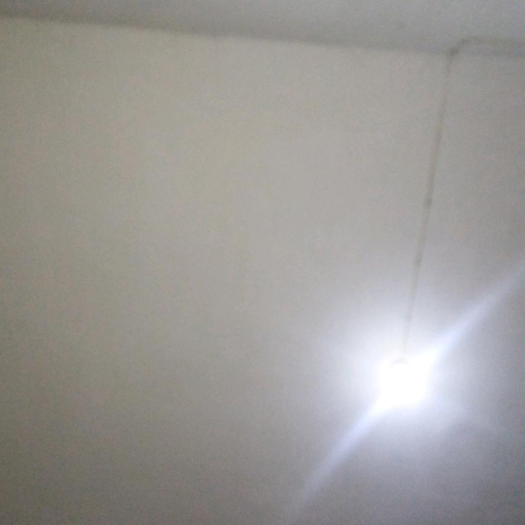 东方中豫杜