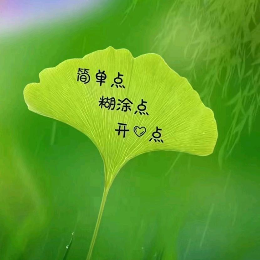 🍀抒卿~~