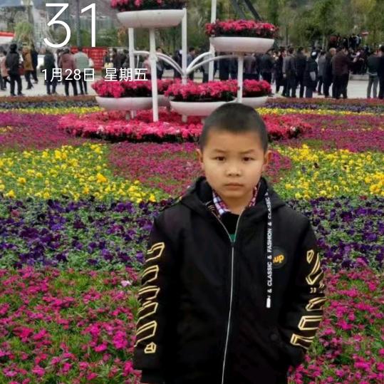 ？玫瑰花