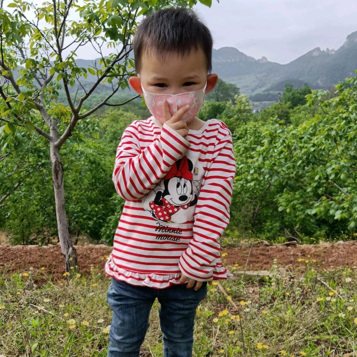 方寸山（养蜂人）