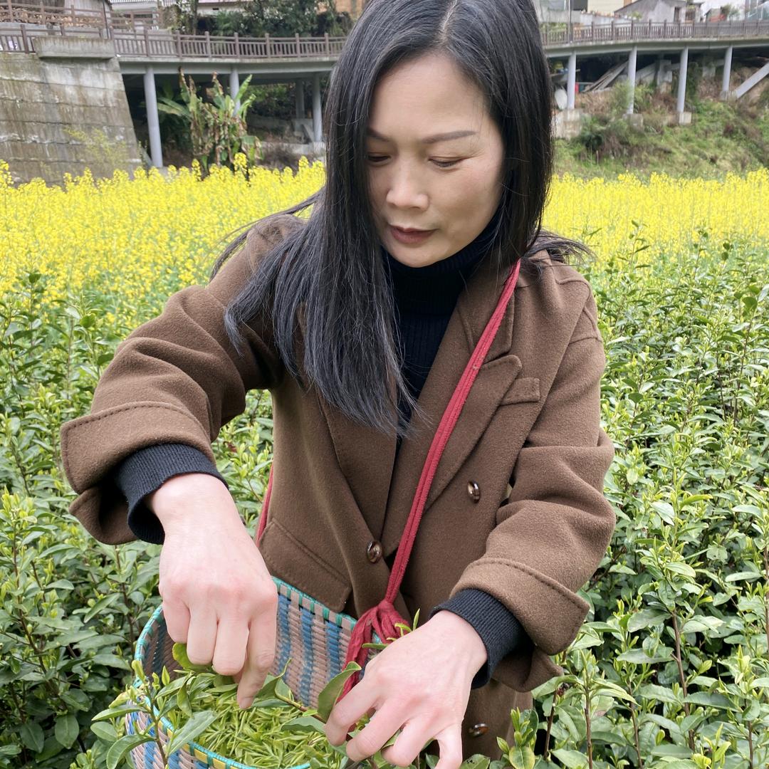 广丰礼《纪子》