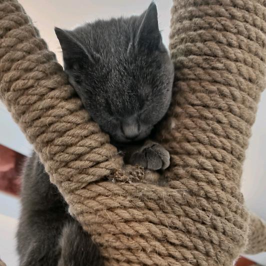 🌈困也不睡 饿也不吃🌈