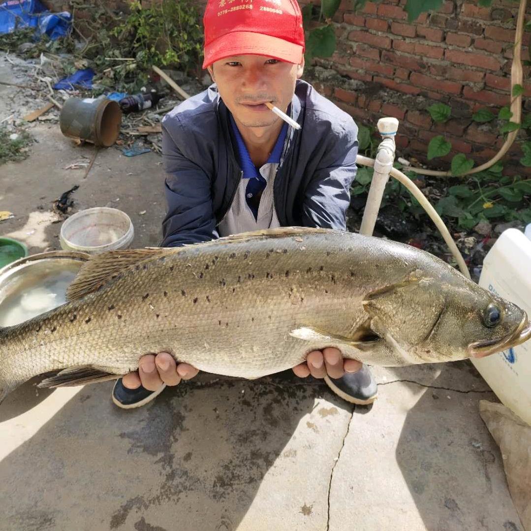海钓-小于（铁山港带客海钓）