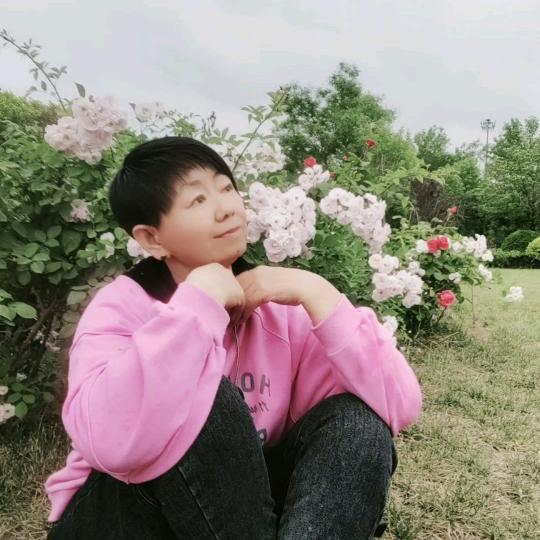 胖纸没烦恼