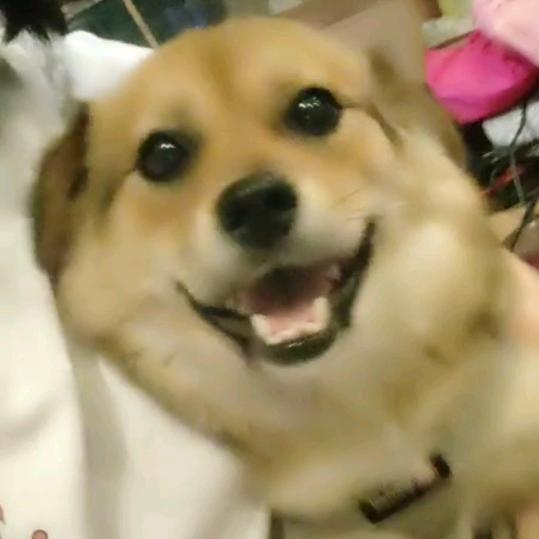 是月月呐👸🏻