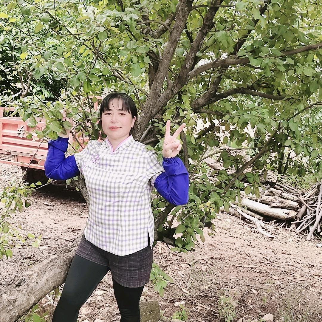 花开富贵😊