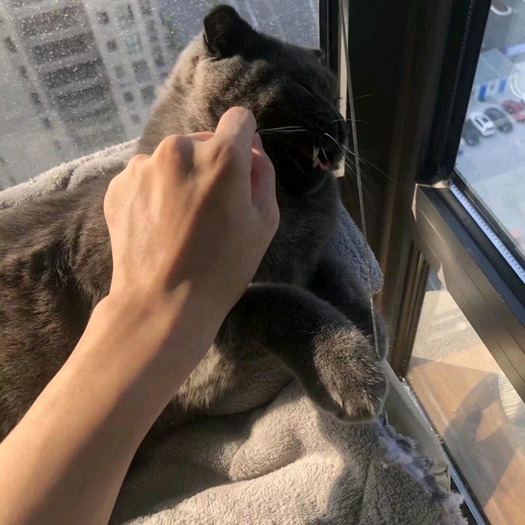 玖然（无畏契约）