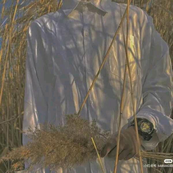 、人生若祗如初见