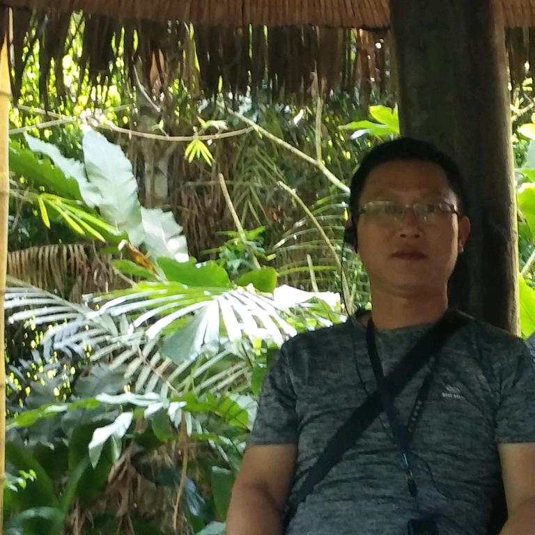 漫游C