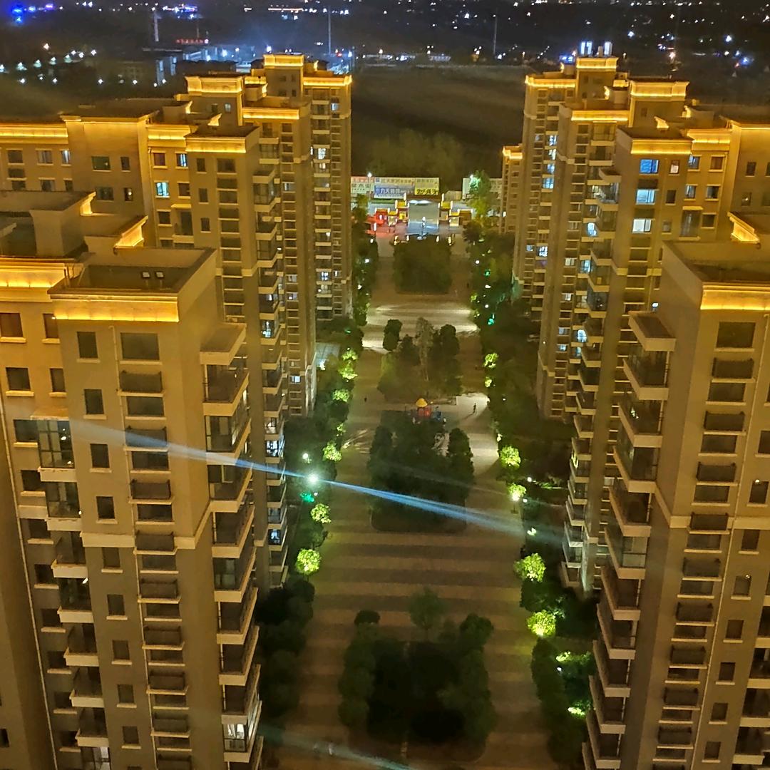 傲雪迎风（丰岩）