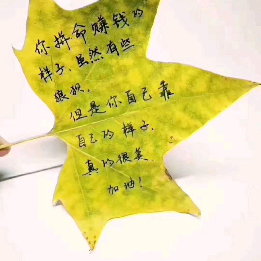 骑着蚂蚁跑高速☘️☘️☘️