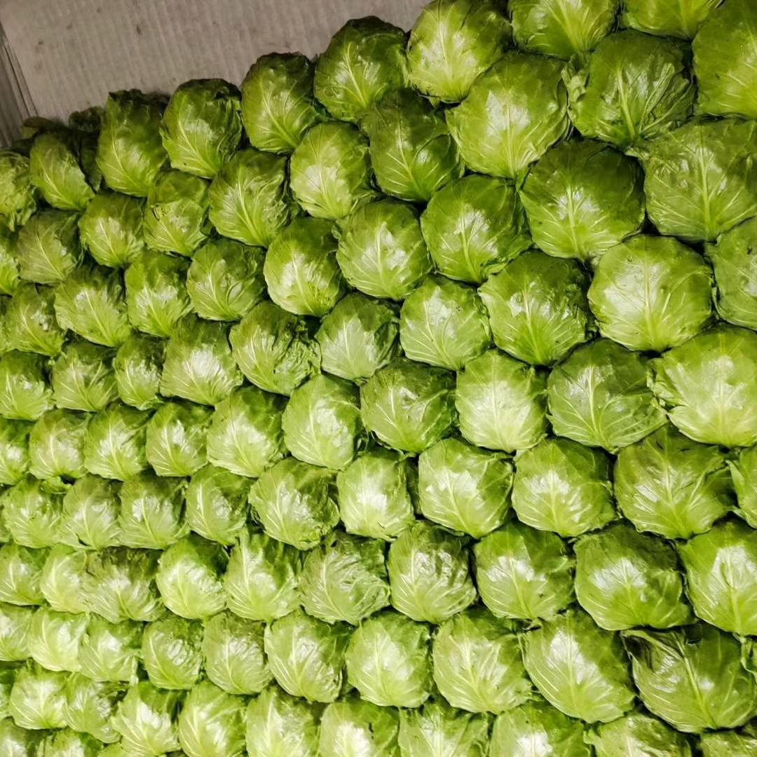 久亿蔬菜合作社，