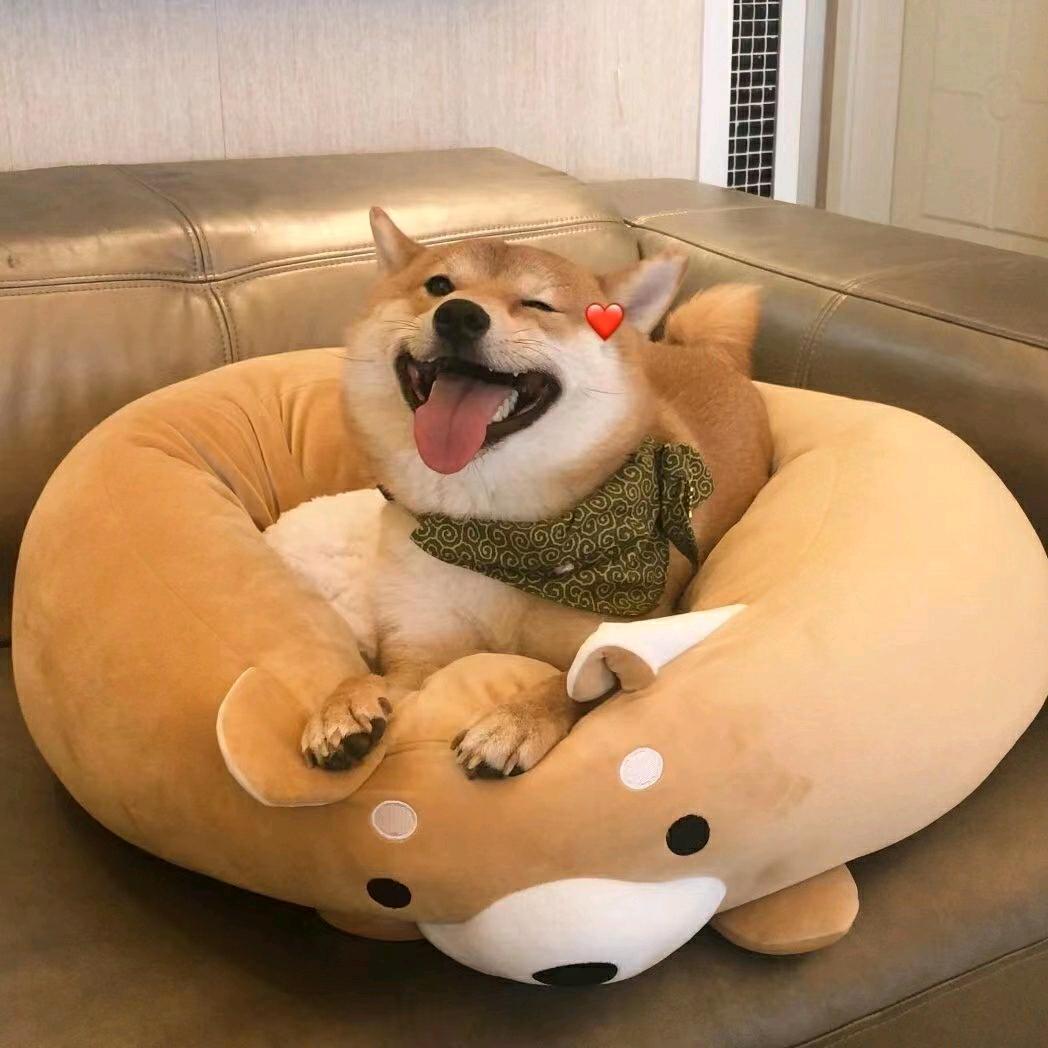 ༄༊白琉璃࿐