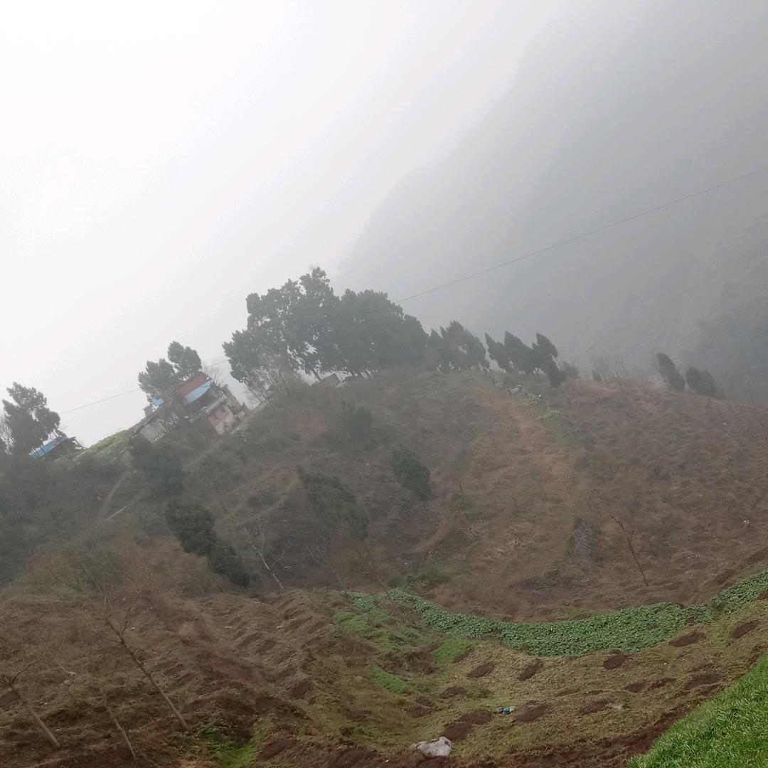 幸福相随剧场