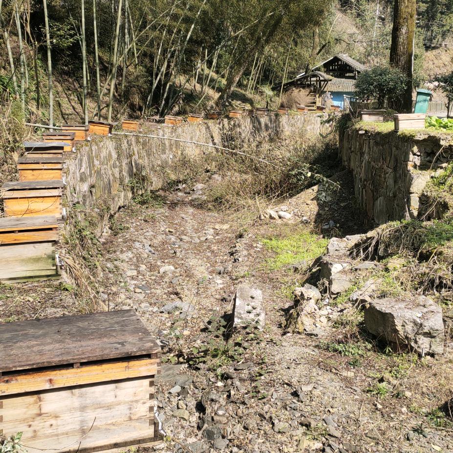 铜仁鑫盛蜜蜂养殖